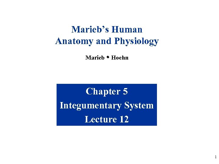 Marieb’s Human Anatomy and Physiology Marieb w Hoehn Chapter 5 Integumentary System Lecture 12
