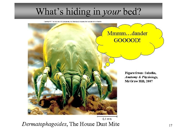 What’s hiding in your bed? Mmmm…dander GOOOOD! Figure from: Saladin, Anatomy & Physiology, Mc.