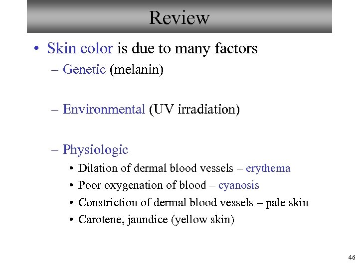 Review • Skin color is due to many factors – Genetic (melanin) – Environmental