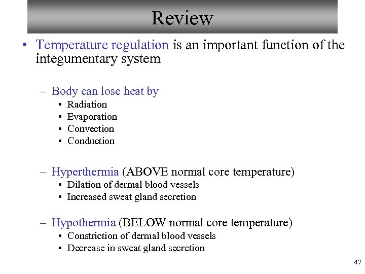 Review • Temperature regulation is an important function of the integumentary system – Body