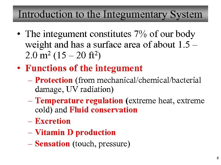 Introduction to the Integumentary System • The integument constitutes 7% of our body weight