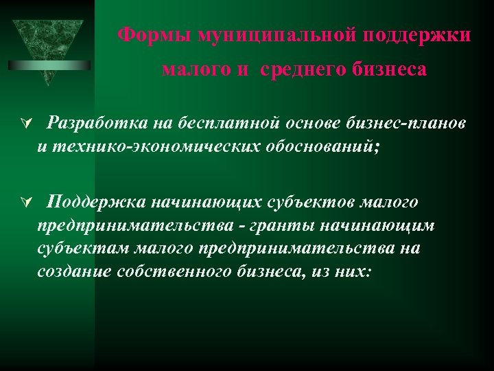 Формы муниципальной поддержки малого и среднего бизнеса Разработка на бесплатной основе бизнес-планов и технико-экономических