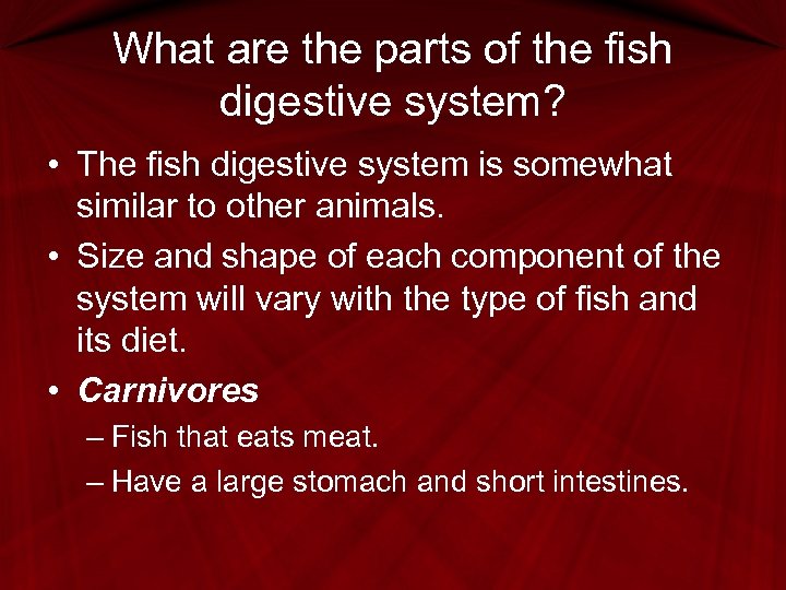 What are the parts of the fish digestive system? • The fish digestive system