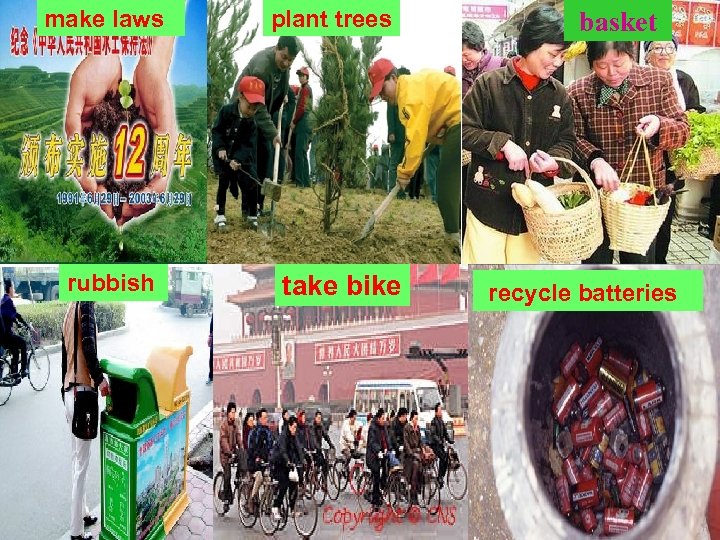 make laws rubbish plant trees take bike basket recycle batteries 