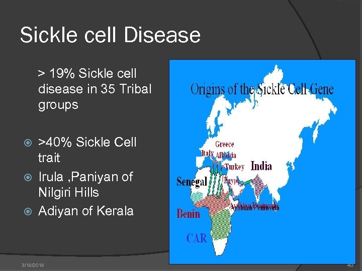 Sickle cell Disease > 19% Sickle cell disease in 35 Tribal groups >40% Sickle