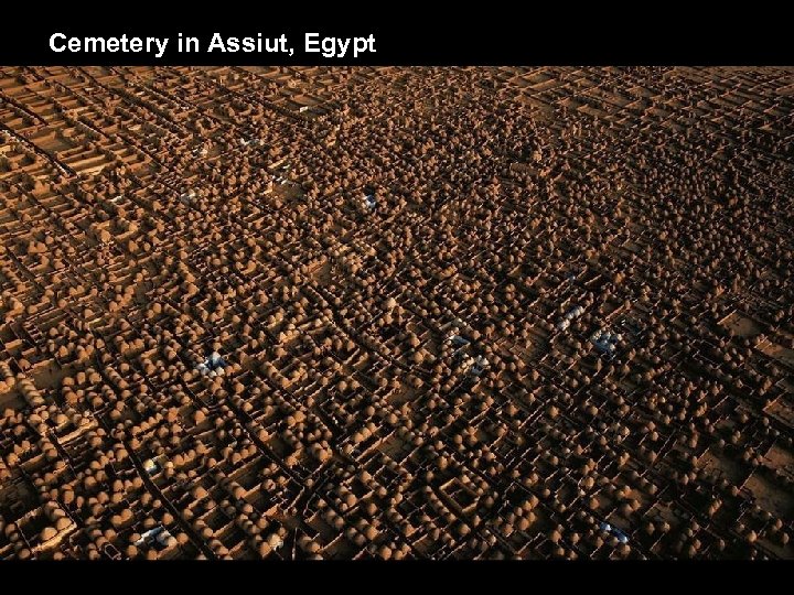 Cemetery in Assiut, Egypt 