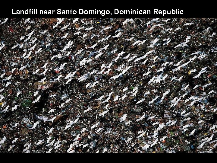 Landfill near Santo Domingo, Dominican Republic 