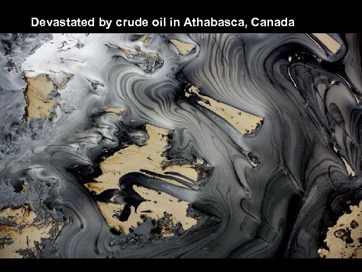 Devastated by crude oil in Athabasca, Canada 