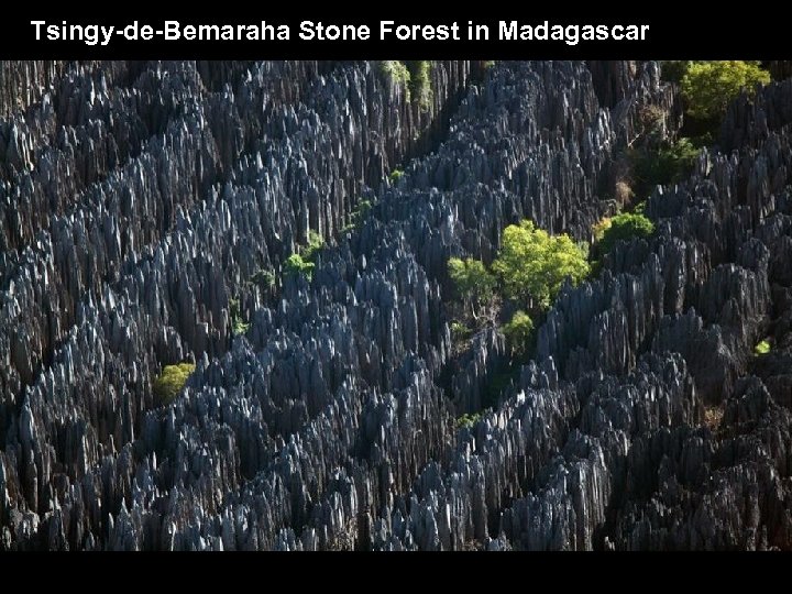 Tsingy-de-Bemaraha Stone Forest in Madagascar 
