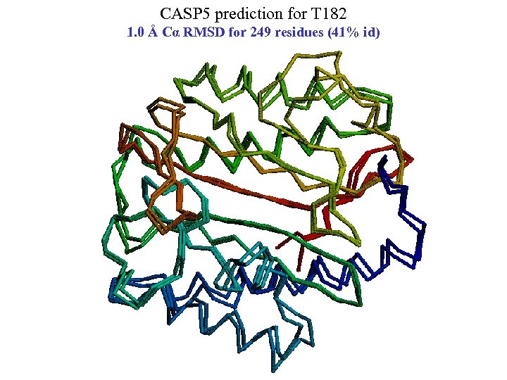 CASP 5 prediction for T 182 1. 0 Å Cα RMSD for 249 residues