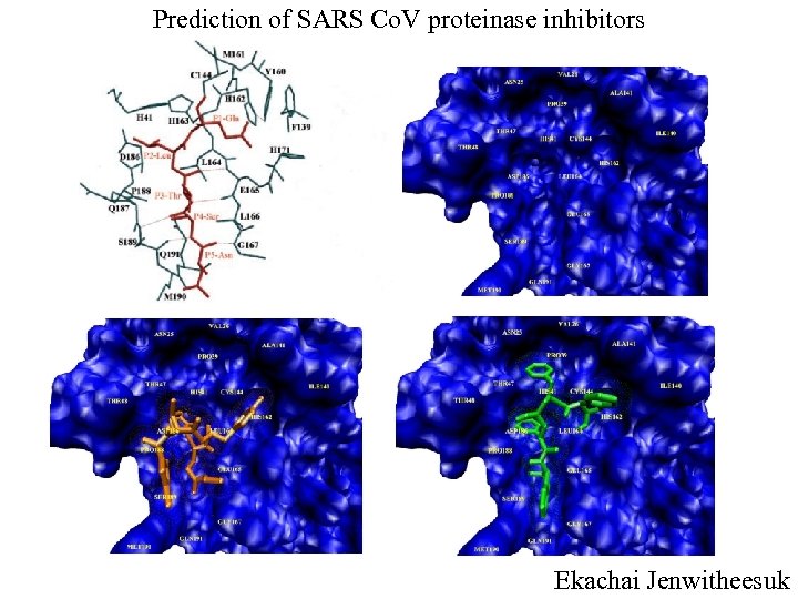 Prediction of SARS Co. V proteinase inhibitors Ekachai Jenwitheesuk 