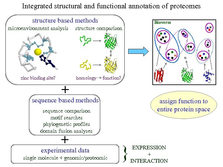 Integrated structural and functional annotation of proteomes structure based methods microenvironment analysis Bioverse structure