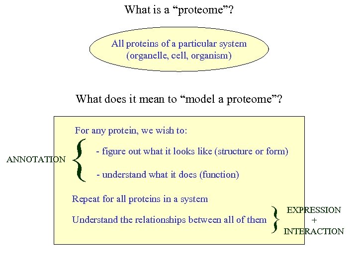 What is a “proteome”? All proteins of a particular system (organelle, cell, organism) What