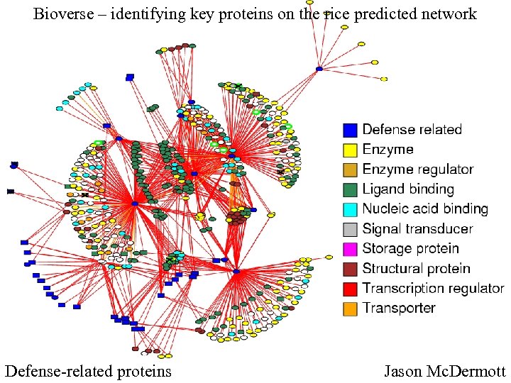 Bioverse – identifying key proteins on the rice predicted network Defense-related proteins Jason Mc.