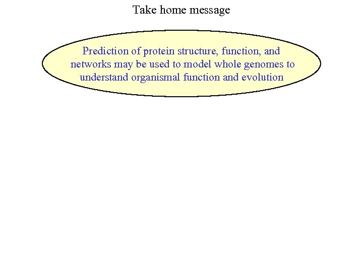 Take home message Prediction of protein structure, function, and networks may be used to