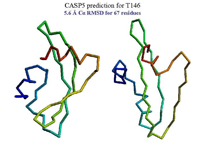 CASP 5 prediction for T 146 5. 6 Å Cα RMSD for 67 residues