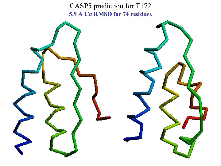 CASP 5 prediction for T 172 5. 9 Å Cα RMSD for 74 residues