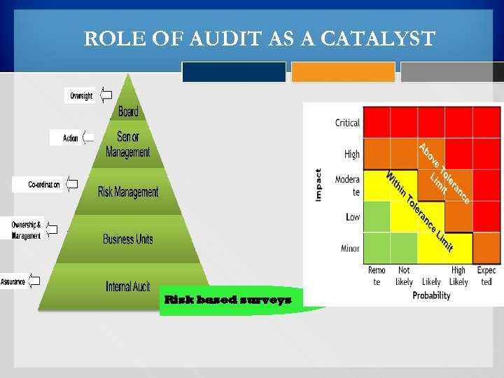 ROLE OF AUDIT AS A CATALYST Risk based surveys 