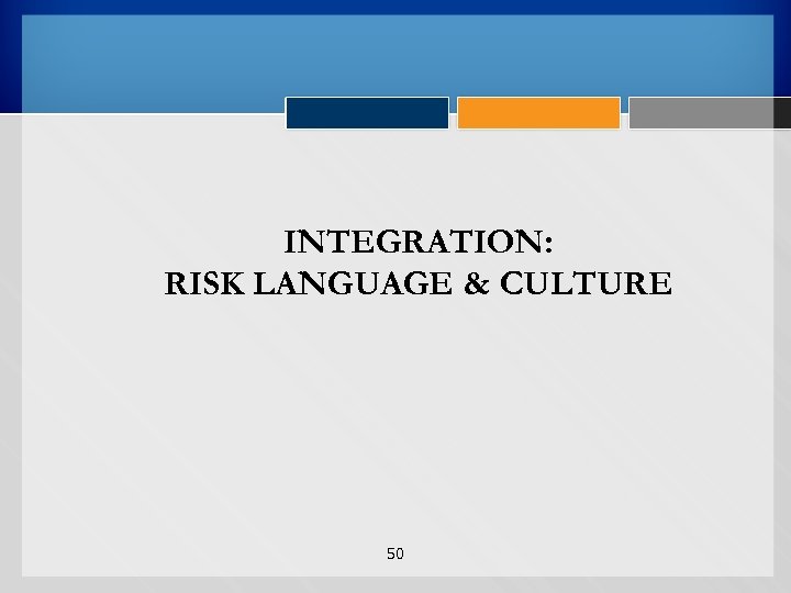 INTEGRATION: RISK LANGUAGE & CULTURE 50 