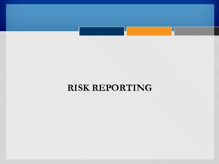 RISK REPORTING 