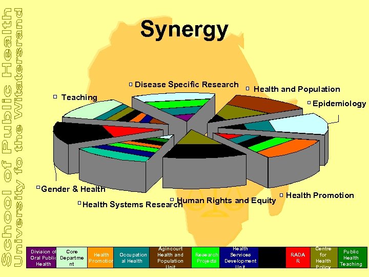Synergy Disease Specific Research Teaching Health and Population Epidemiology Gender & Health Human Rights