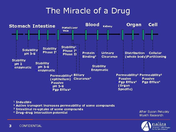 The Miracle of a Drug Stomach Intestine Solubility p. H 3 -8 Stability ·