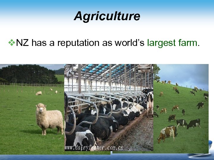 Agriculture v. NZ has a reputation as world’s largest farm. 