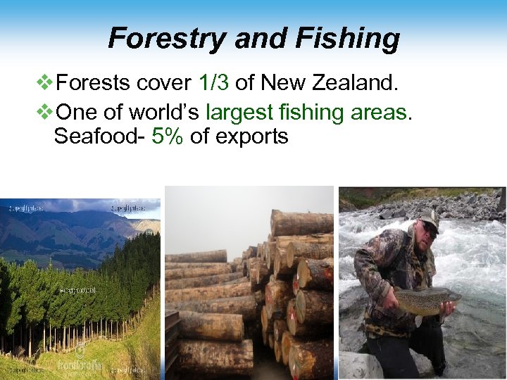 Forestry and Fishing v. Forests cover 1/3 of New Zealand. v. One of world’s