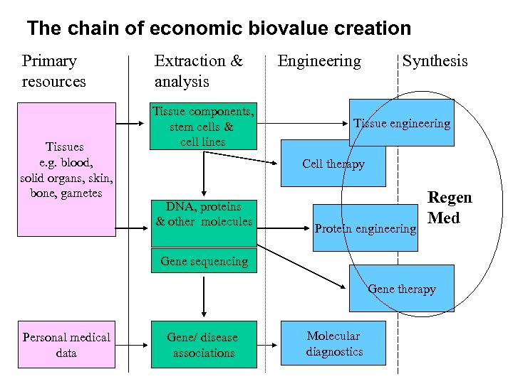The chain of economic biovalue creation Primary resources Tissues e. g. blood, solid organs,