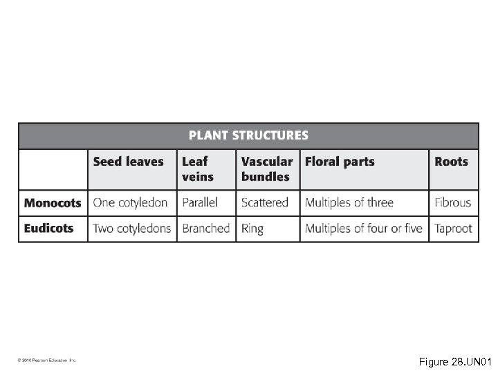 Figure 28. UN 01 