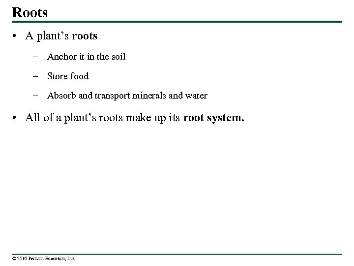 Roots • A plant’s roots – Anchor it in the soil – Store food