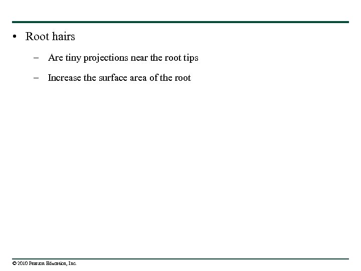  • Root hairs – Are tiny projections near the root tips – Increase