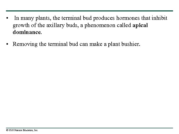  • In many plants, the terminal bud produces hormones that inhibit growth of