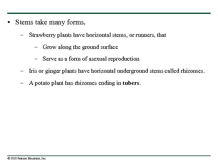  • Stems take many forms. – Strawberry plants have horizontal stems, or runners,