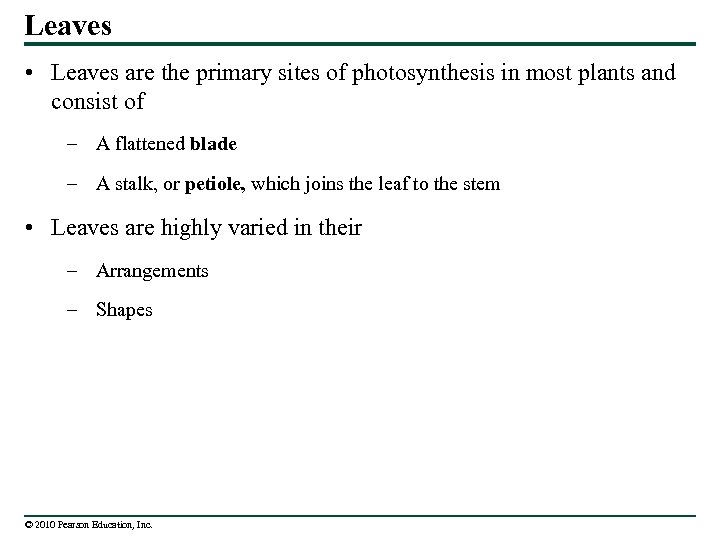 Leaves • Leaves are the primary sites of photosynthesis in most plants and consist