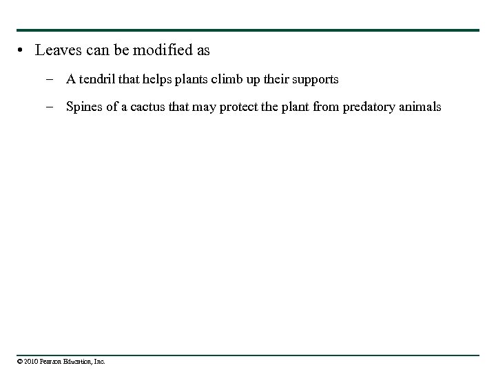  • Leaves can be modified as – A tendril that helps plants climb