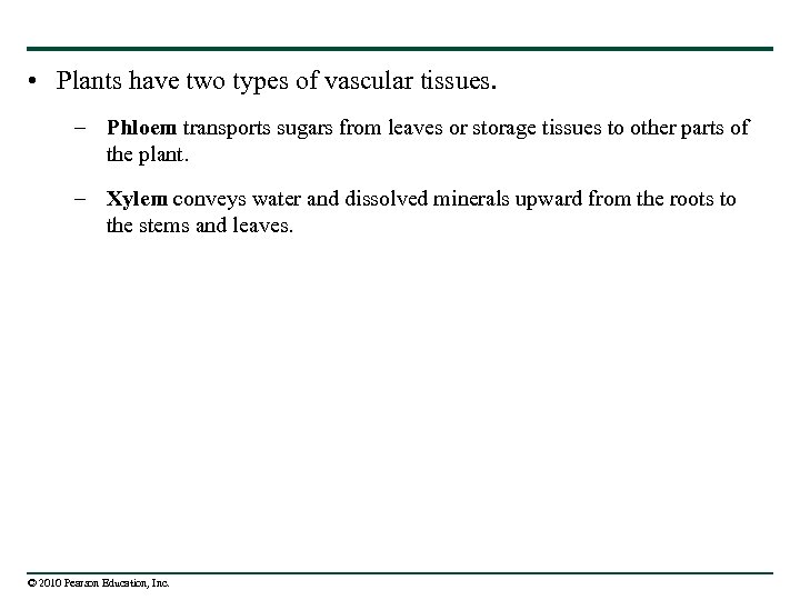  • Plants have two types of vascular tissues. – Phloem transports sugars from