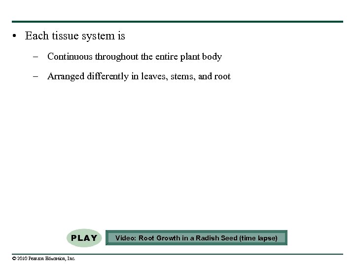  • Each tissue system is – Continuous throughout the entire plant body –