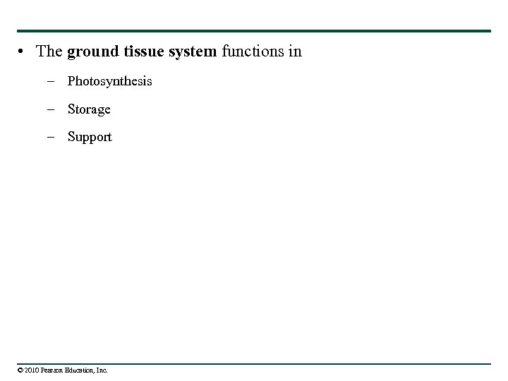  • The ground tissue system functions in – Photosynthesis – Storage – Support