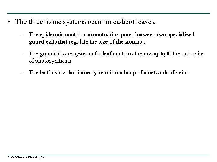  • The three tissue systems occur in eudicot leaves. – The epidermis contains