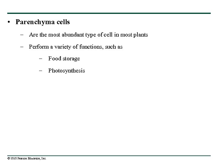  • Parenchyma cells – Are the most abundant type of cell in most