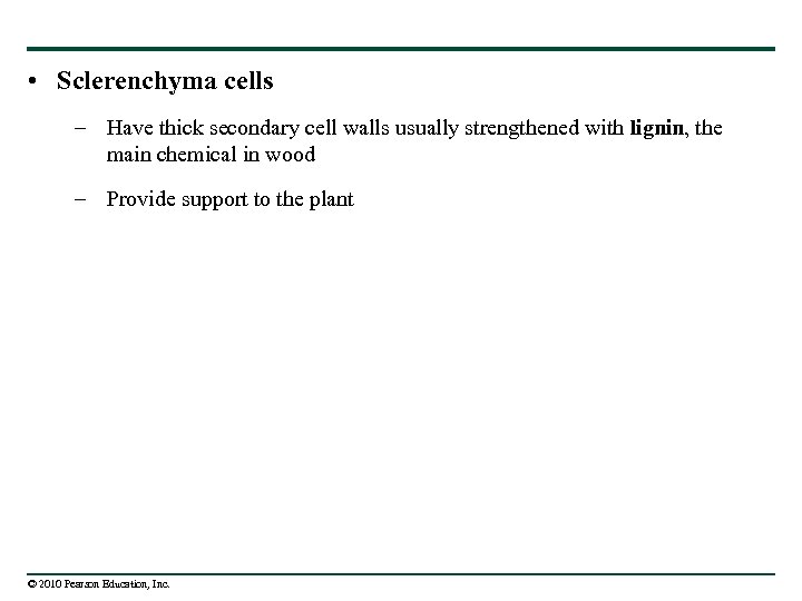  • Sclerenchyma cells – Have thick secondary cell walls usually strengthened with lignin,