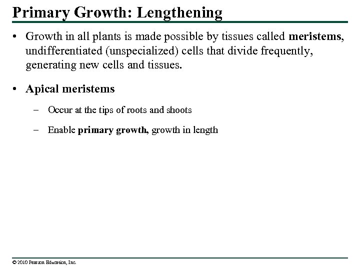 Primary Growth: Lengthening • Growth in all plants is made possible by tissues called