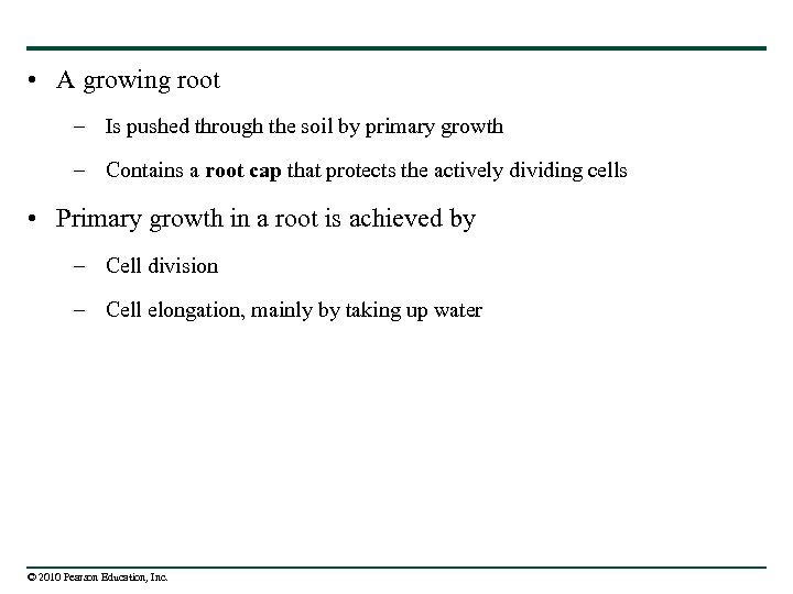  • A growing root – Is pushed through the soil by primary growth