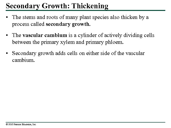 Secondary Growth: Thickening • The stems and roots of many plant species also thicken