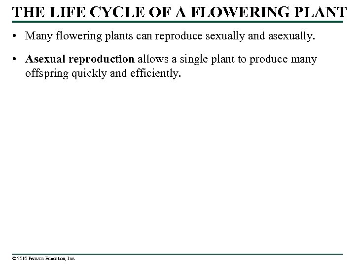 THE LIFE CYCLE OF A FLOWERING PLANT • Many flowering plants can reproduce sexually