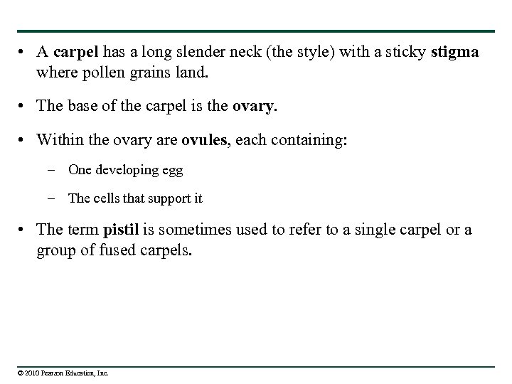  • A carpel has a long slender neck (the style) with a sticky