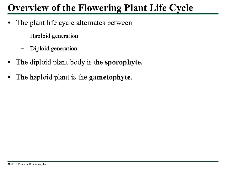 Overview of the Flowering Plant Life Cycle • The plant life cycle alternates between