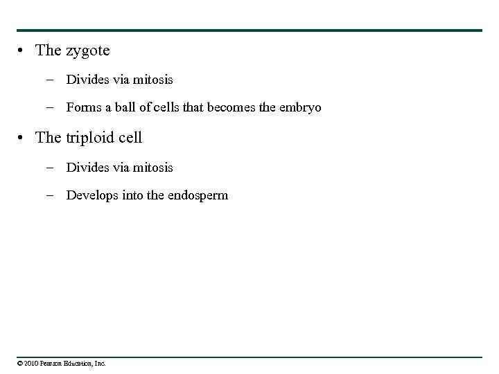  • The zygote – Divides via mitosis – Forms a ball of cells