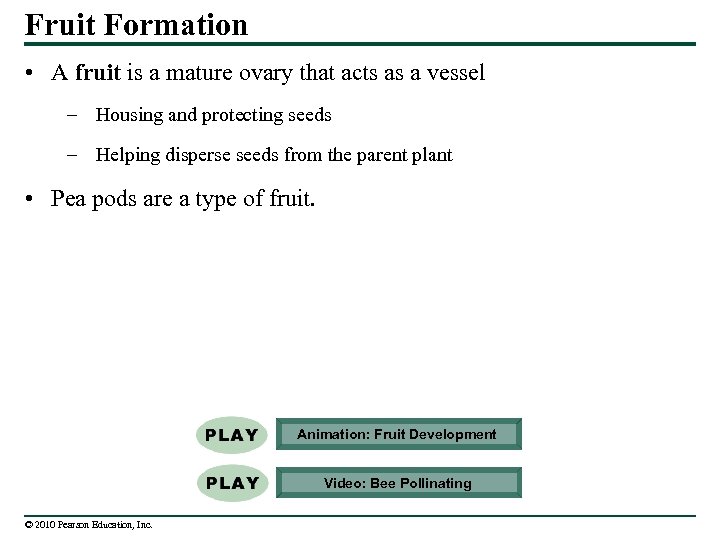 Fruit Formation • A fruit is a mature ovary that acts as a vessel